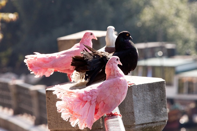 期待官宣！罗马诺：姆巴佩加盟皇马不会有变，球员签字费1亿欧元.