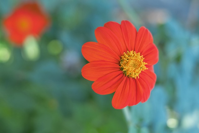 还很年轻 还很年轻