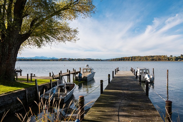 季的走势 季的走势