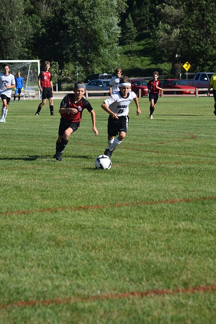 “亲”“清”——新型政商关系加快构建的地方实践.