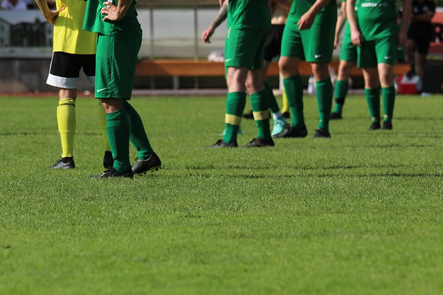 他们是中国 他们是中国