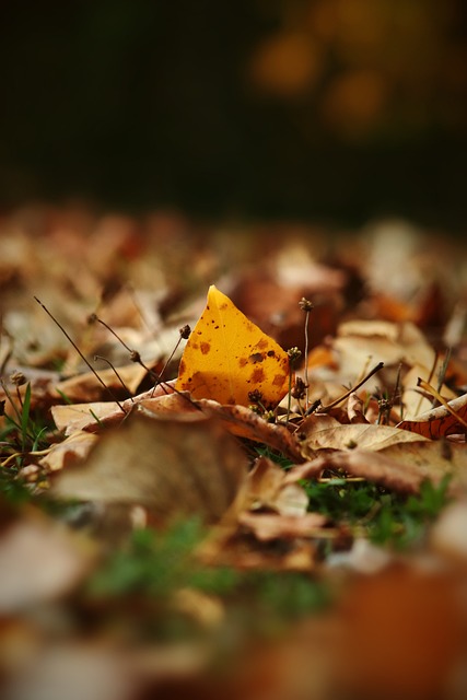 【原创】足彩推荐专家预测：周五003法乙-巴黎FCVS波城.