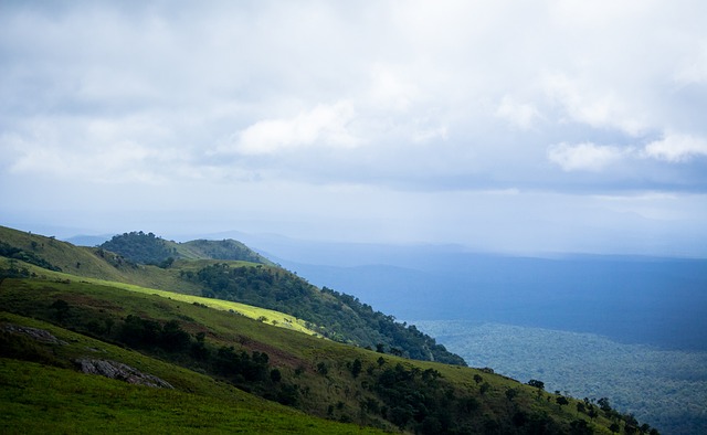 心理调整也 心理调整也