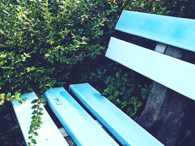 张镇麟怎么看？德拉输球拿MVP却把奖杯让给对手：胜者才配得上.