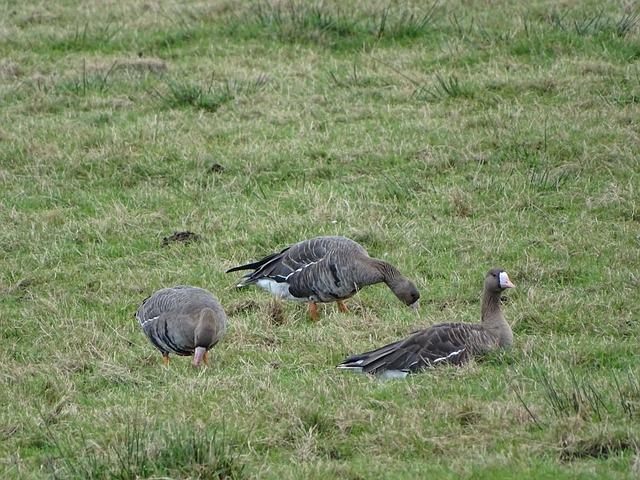 韋津科夫談NBA經歷 我也曾以為那裏的球員不防守 結果實情完全相反.