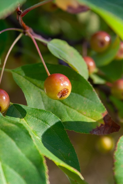 骑士苦吞四连败！米切尔状态极差自责：都怪我.
